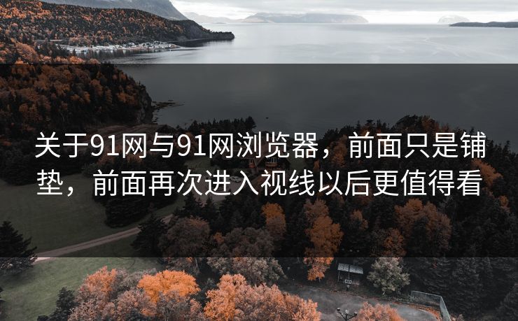 关于91网与91网浏览器，前面只是铺垫，前面再次进入视线以后更值得看