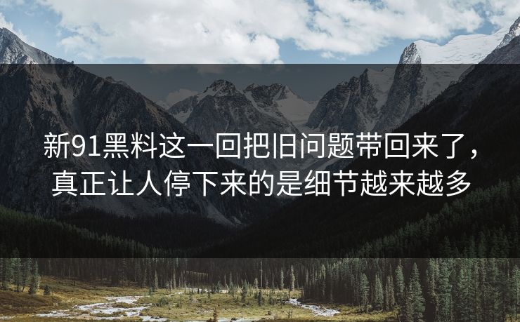 新91黑料这一回把旧问题带回来了，真正让人停下来的是细节越来越多