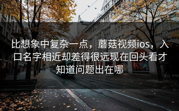 比想象中复杂一点，蘑菇视频ios，入口名字相近却差得很远现在回头看才知道问题出在哪