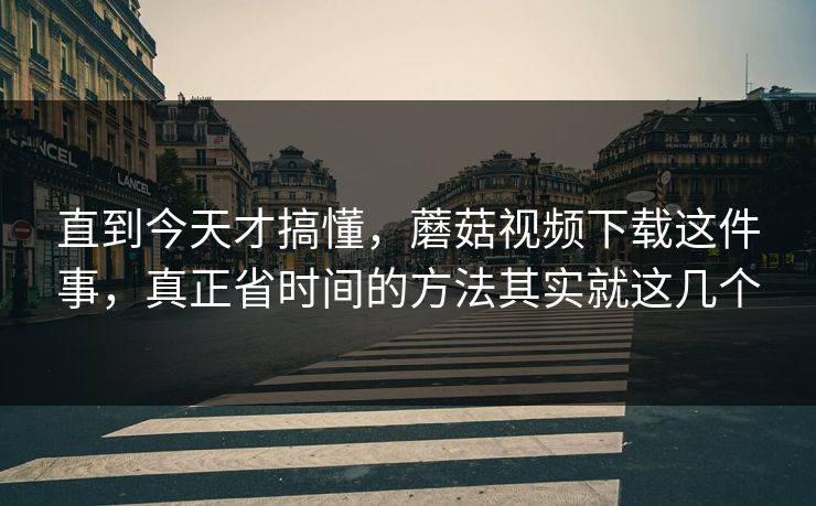直到今天才搞懂，蘑菇视频下载这件事，真正省时间的方法其实就这几个